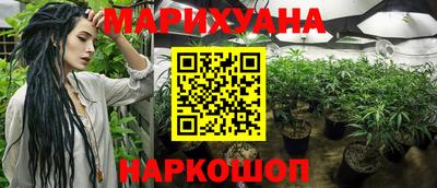 прущие крисы Будённовск