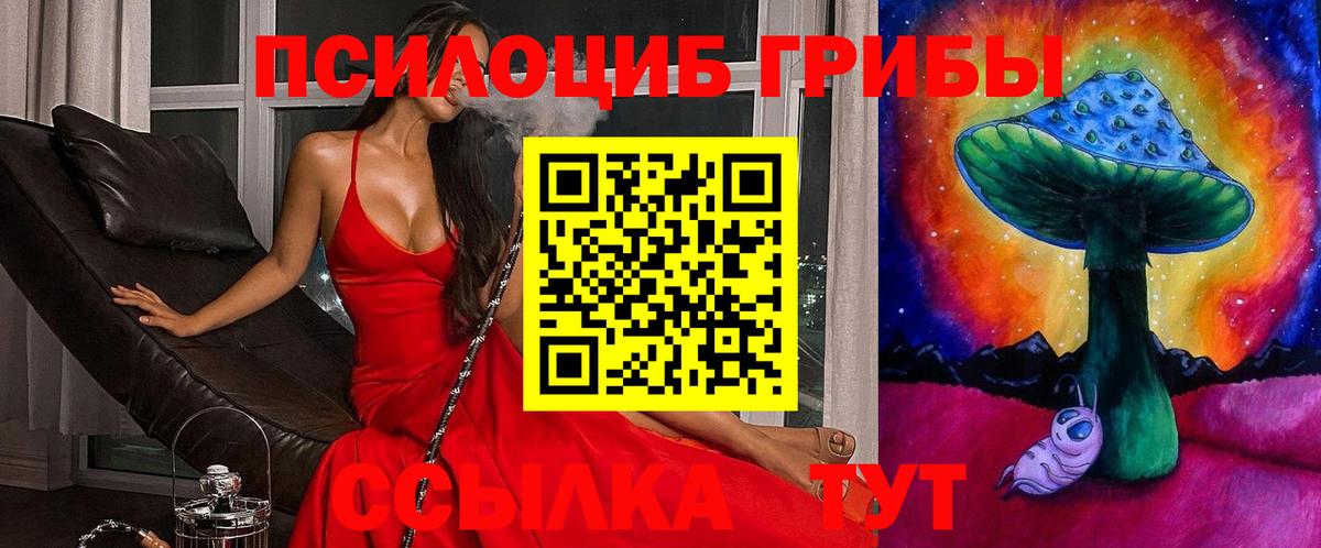 Спасск-Дальний  Псилоцибиновые грибы Cubensis  Вход с VPN 